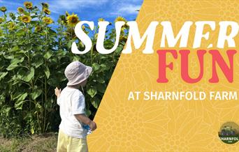 Promotion for Summer