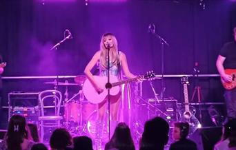 Taylor Swift Tribute Show