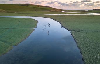 Buzz Active Cuckmere