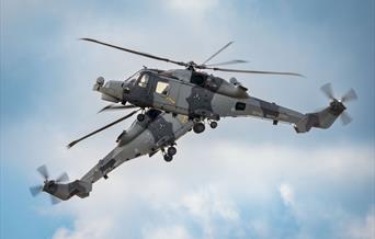 Royal Navy Black Cats