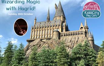 Wizarding Magic with Hagrid