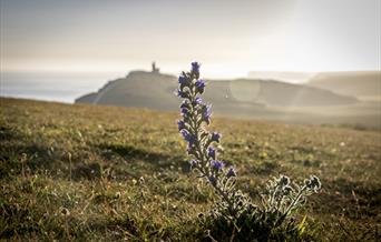 South Downs National Park