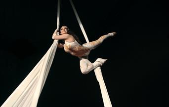 Circus