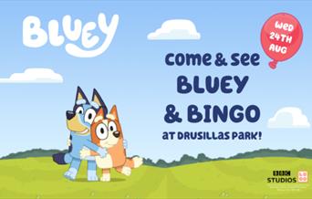 Meet Bluey and Bingo at Drusillas Park