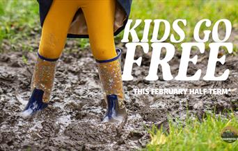 Poster of child standing in a muddy puddle with wellies on.