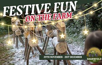 Festive fun on the Farm poster