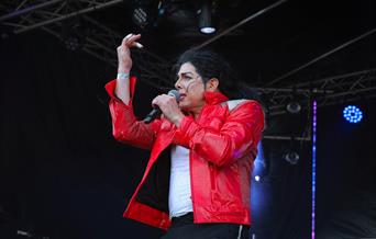 Michael Jackson Tribute Show