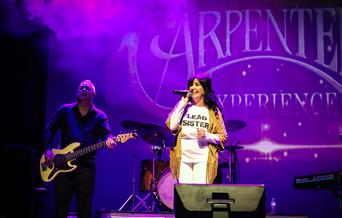 The Carpenters Tribute Show