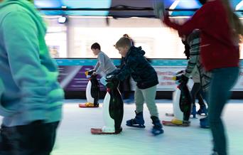Ice Rink