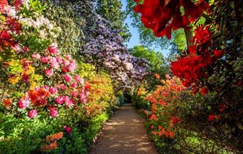 Leonardslee Lakes & Gardens