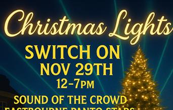 Christmas Lights Switch Om