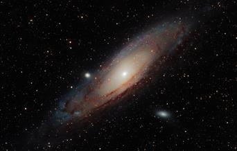 Stargazing at Helen Garden