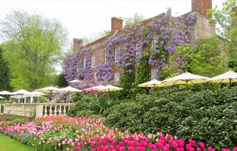 Pashley Manor Gardens back terrace by Kate Wilson