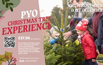Poster for PYO Christmas Tree at Sharnfold Farm