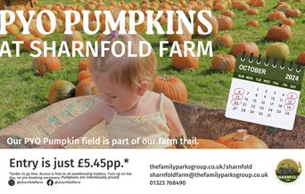 PYO Pumpkins Poster