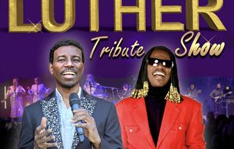 STEVIE WONDER SURPRISE !