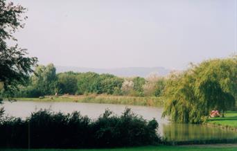 Shinewater Park