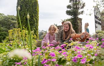 Growing Wild For Nature with the Garden Guardians