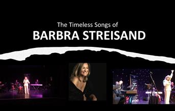 Barbara Streisand tribute