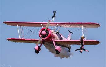 46 Aviation Wingwalking Team