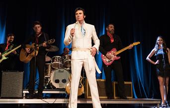 Elvis Tribute Mark Summers