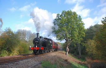 Spa Valley Railway