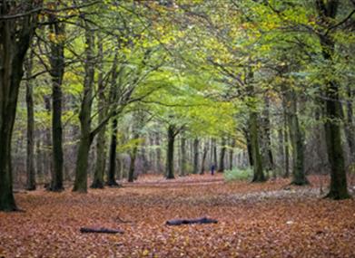 Autumn Mini Break in Eastbourne