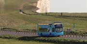 Eastbourne Sightseeing Bus