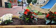 Pop-Up Park in Victoria Place