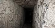 The 'jakes' (Elizabethan garderobe)