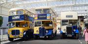 A line up of old Eastbourne corporation vehicles at Eastbourne Station
