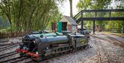 Eastbourne Miniature Steam Railway