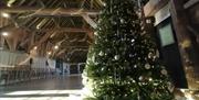 Decorated Christmas tree in the Elizabethan Great Barn