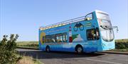 Eastbourne Sightseeing Bus