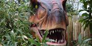 Jurassic Jungle at Drusillas Park