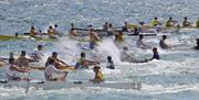24 Exciting races