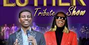STEVIE WONDER SURPRISE !