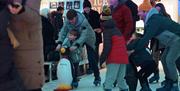 Ice rink penguins