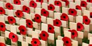 Remembrance