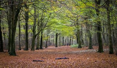 Autumn Mini Break in Eastbourne