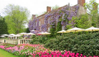 Pashley Manor Gardens back terrace by Kate Wilson