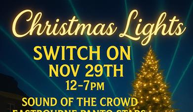 Christmas Lights Switch Om