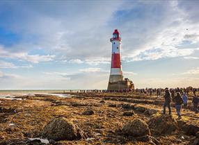 Tours & Sightseeing - Beachy Head Lighthouse