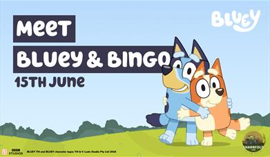 Meet Bluey & Bingo at Sharnfold Farm