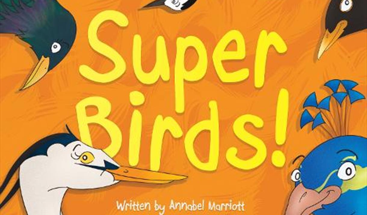 orange background with different coloured cartoon birds heads peeking in from the edges with the words Super Birds! in the centre
