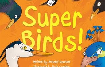 orange background with different coloured cartoon birds heads peeking in from the edges with the words Super Birds! in the centre