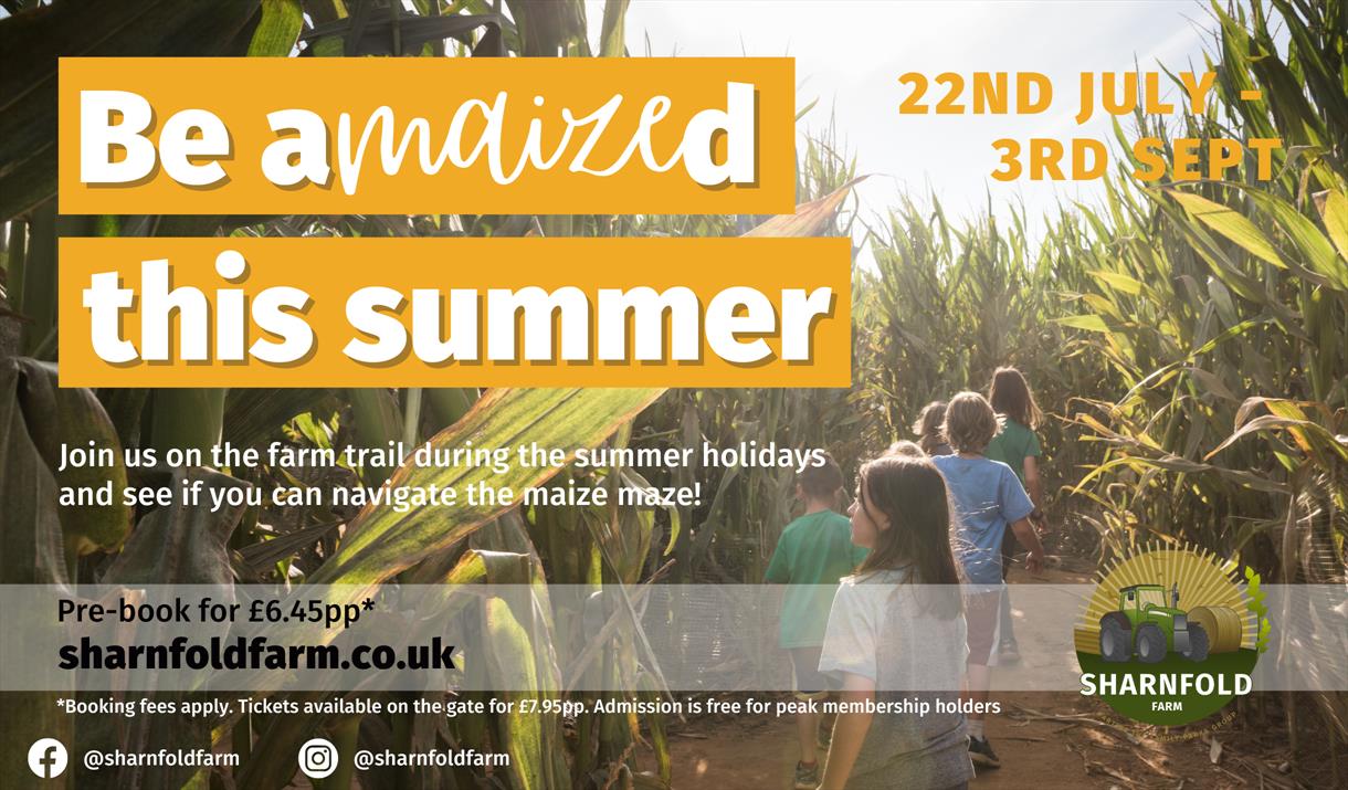 Be aMAIZEd this summer at Sharnfold Farm