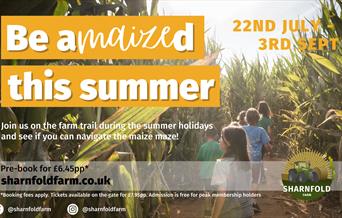 Be aMAIZEd this summer at Sharnfold Farm