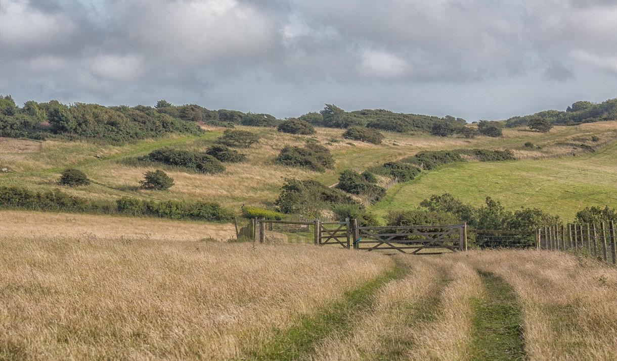 Green fields at Butts Brow with wooden fence in centre