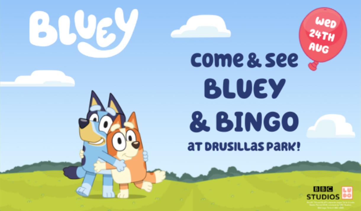 Meet Bluey and Bingo at Drusillas Park